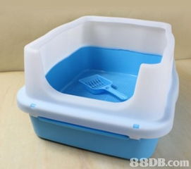 寵物用品批發新篇章 petshop 8888轉型與搬遷公告