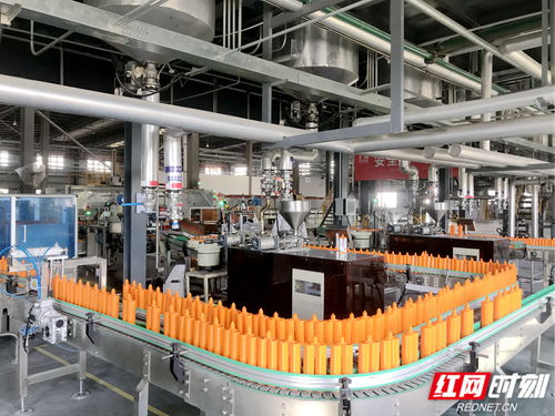奔向新質④丨岳陽經開區 向綠、向數、向高端的靖竏科技實踐